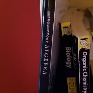 Introductory Algebra